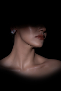 Silver Earring BT1149