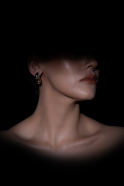 Gold-Silver Earring BT1156
