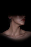 Silver Earring BT1160