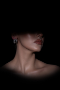 Silver Earring BT1162