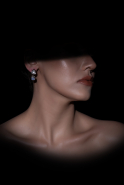 Silver Earring DF1023