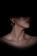 Brown-Gold Earring DF1038
