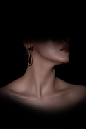 Burgundy-Gold Earring DF1042