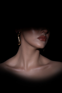 Brown-Gold Earring DF1042