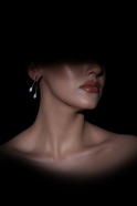 Silver Earring DF1049