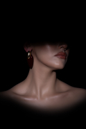 Burgundy-Gold Earring DF1050