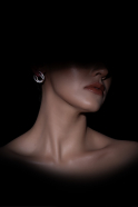 Silver Earring LZ1112