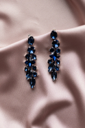 Navy Blue Earring UKP1186