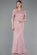 Long Powder Color Dantelle Prom Gown ABU6119