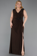 Brown Long Plus Size Evening Dress ABU2854