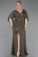 Long Olive Drab Beaded Plus Size Evening Dress ABU6261