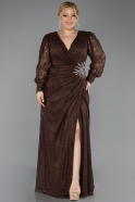 Long Brown Dantelle Plus Size Evening Dress ABU6272