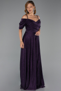 Long Purple Plus Size Evening Dress ABU6333