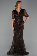 Long Brown Beaded Plus Size Evening Dress ABU6334