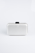 Silver Silvery Evening Bag SH827
