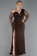 Long Brown Dantelle Plus Size Evening Gown ABU6339