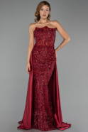 Long Burgundy Dantelle Plus Size Evening Gown ABU6395