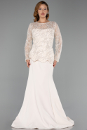 Long Beige Plus Size Evening Gown ABU6413