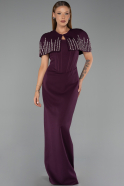 Long Plum Evening Dress ABU5889