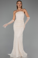 Long Beige Dantelle Plus Size Evening Gown ABU6280