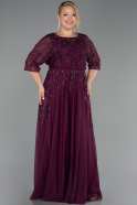 Long Plum Plus Size Evening Gown ABU6489