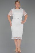 Midi White Dantelle Plus Size Cocktail Dress ABK2673