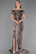 Long Mink Chiffon Plus Size Evening Gown ABU6604