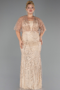 Long Gold Beaded Formal Plus Size Dress ABU5722