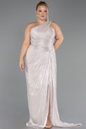 Long Mink Chiffon Plus Size Evening Gown ABU6631