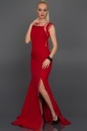 Long Red Evening Dress AN2383