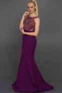Long Purple Evening Dress AN2394