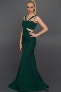 Long Emerald Green Evening Dress ABU160