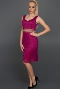 Short Fuchsia Evening Dress N98517