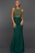 Long Emerald Green Evening Dress ABU330