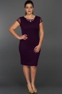 Short Purple Plus Size Dress AR36862
