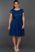Short Sax Blue Plus Size Dress AR36877