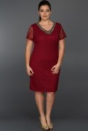 Short Burgundy Plus Size Dress N98557