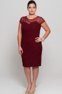 Short Burgundy Plus Size Dress AR36676