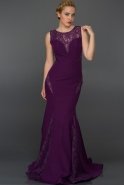Long Purple Evening Dress AN2401