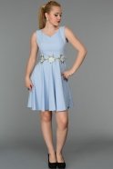 Short Blue Evening Dress DS330