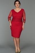 Short Red Plus Size Dress AR36849