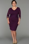 Short Purple Plus Size Dress AR36849