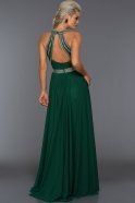 Long Green Evening Dress W6057