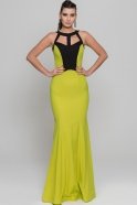 Long Pistachio Green Prom Dress C3183