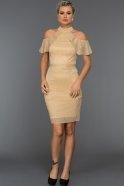 Short Gold Evening Dress ABK088