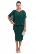 Emerald Green Large Size Evening Dress AL8208