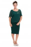 Emerald Green Large Size Evening Dress AL8158