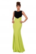 Long Pistachio Green Evening Dress F1503
