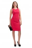 Pink Short Evening Dress T1840