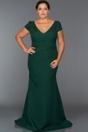 Long Emerald Green Plus Size Dress ABU327